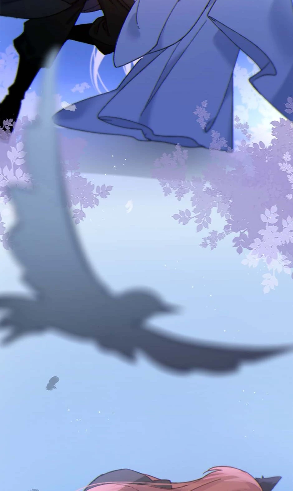 88478579 940 1575 70552